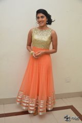 Dhanya Balakrishna at Bhale Manchi Roju Movie Audio Launch